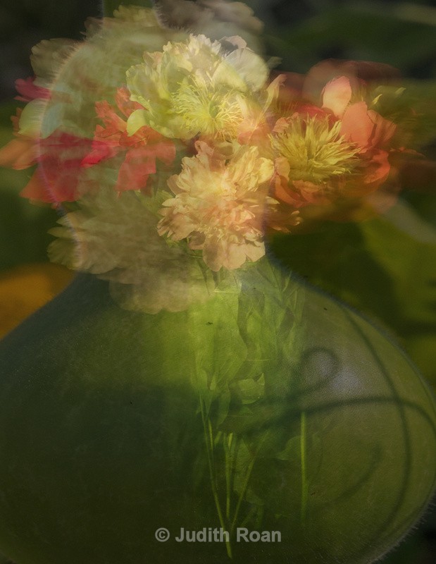 Gourd - Photo Montages