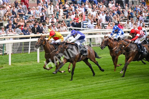 250725-Race 1-Pressures On - Quest For Fun-5342 - Race 1 5.30pm eventmasters.co.uk Handicap
