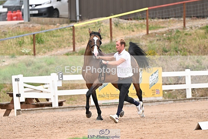 250716-161723-02547 - Trot Up 3.30 to 4.30