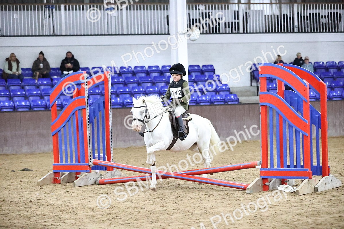 SBM_000017 - Class 1 - Fox Farriers 30cm