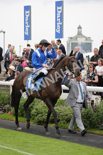 yr19082021r3-18 - Race 3 3.00pm Clipper Logistics Stakes