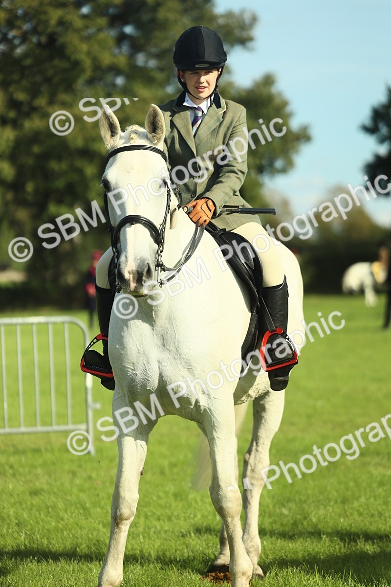 SBM_49824 - S32 - Novice & Newcomers Working Hunter