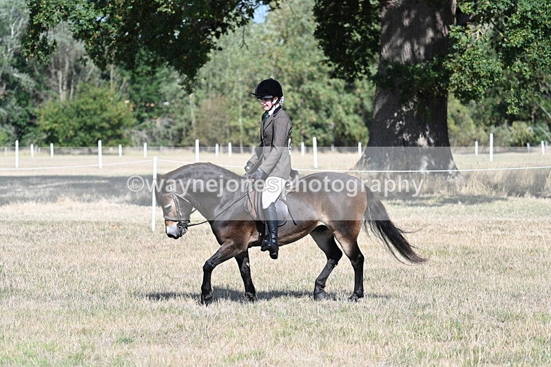 WJ7_2927 - Class 8 Ridden Tack & Turnout