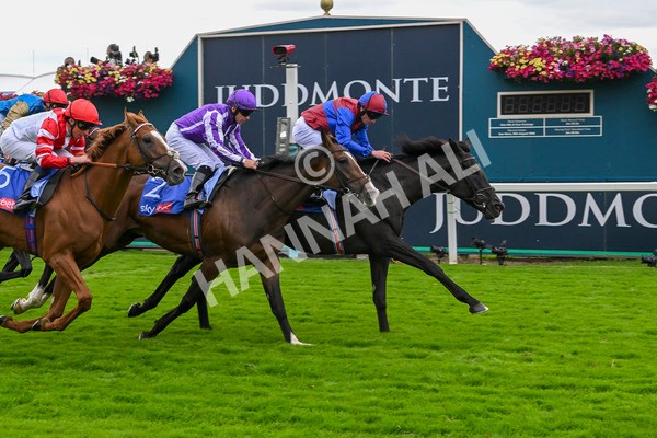 210824-Race 3-Los Angeles-4903 - Race 3 3.00pm Sky Bet Great Voltigeur Stakes