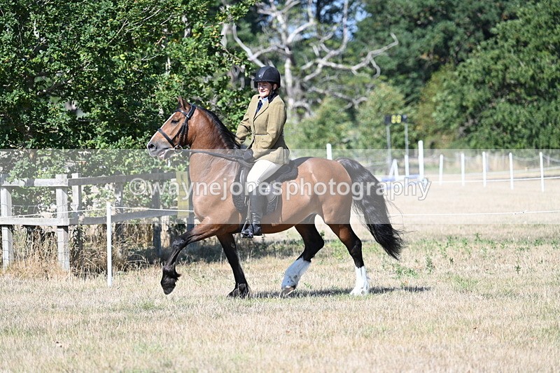 WJ7_3752 - Class 9 Mountain & Moorland Ridden