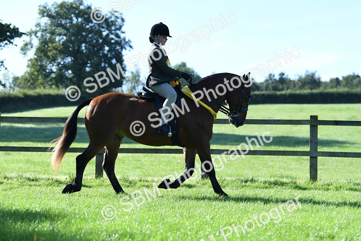 SBM_35565 - Top Turnout Supreme Championship
