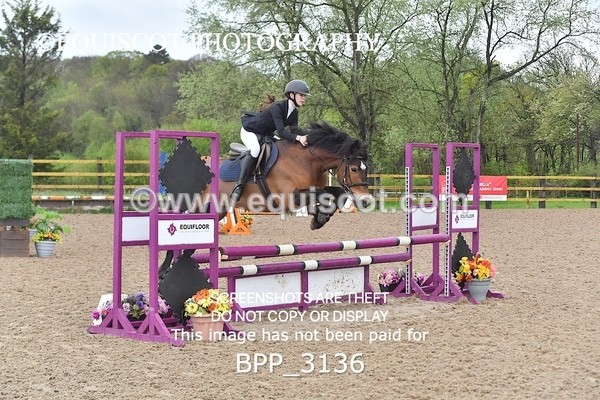 BPP_3136 - CLASS 12 SUN Club/ Unaffiliated 80cms Open
