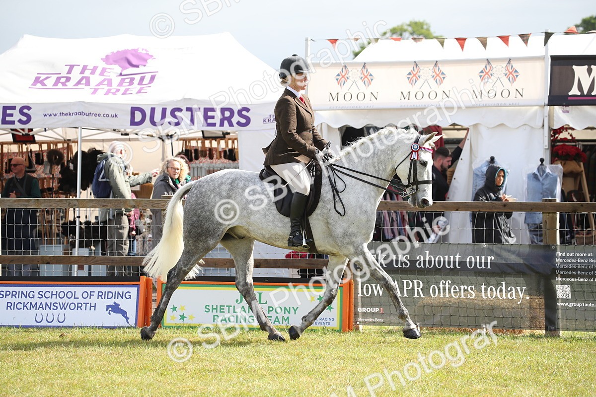 SBM_11502 - Class 95-96 - LIHS BSHA Rising Star Hack Riding Horse