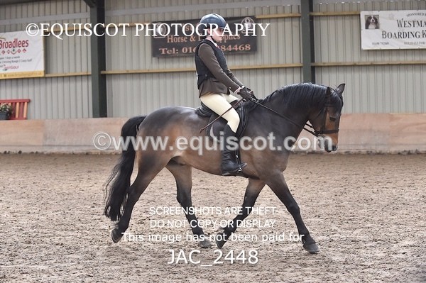 JAC_2448 - CLASS 3 Intermediate Working Hunter