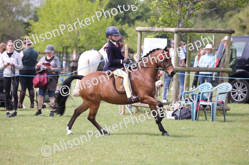 20260426-2958 - Class 33 - Best Pony 14.2hh and Under