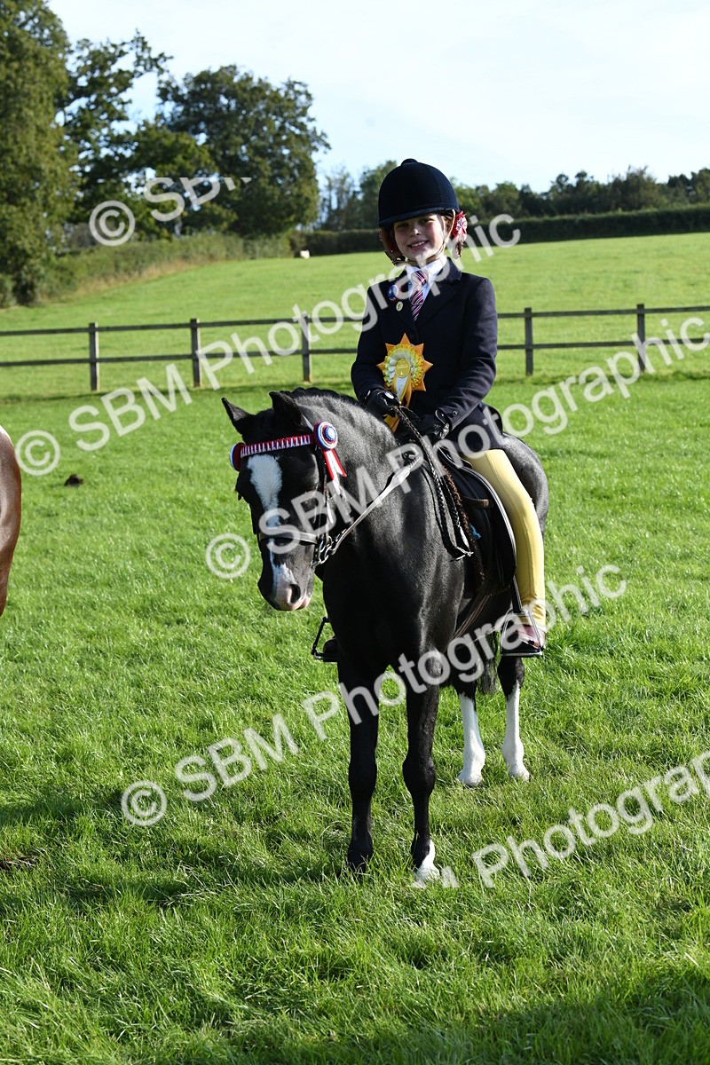 SBM_52443 - S22 - 1st Ridden Show & Show Hunter Pony