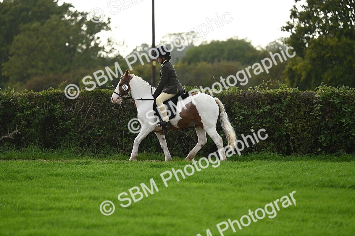 SBM_26630 - S7 - Novice & Newcomer Ridden Pony