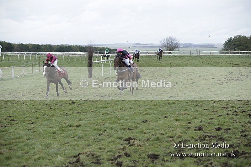 PtP 150320 0863 - New Forest Point-to-Point Larkhill 15/03/20