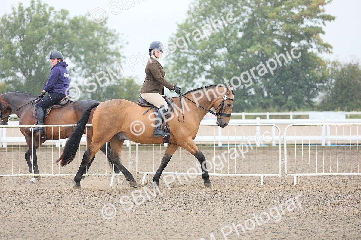 SBM_19860 - Class 801 - Ridden Veteran