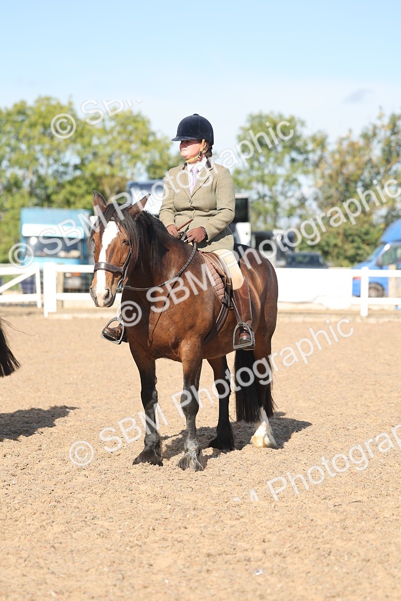 SBM_12377 - Class 304 - Ridden part Bred Horse Pony