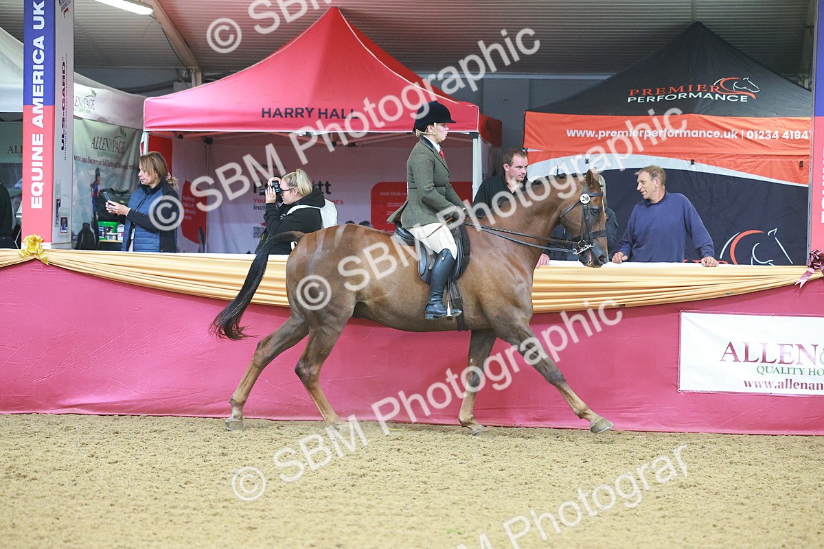 SBM_09632 - Class 102 - HOYS Veteran Qualifier - Ridden Veteran
