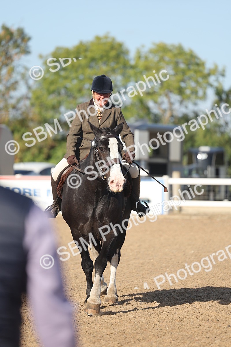 SBM_22225 - Class 802 - Ridden Groom Helpers Class