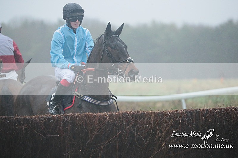 PtP 101223 453 - New Forest Hounds PtP Larkhill 10/12/23