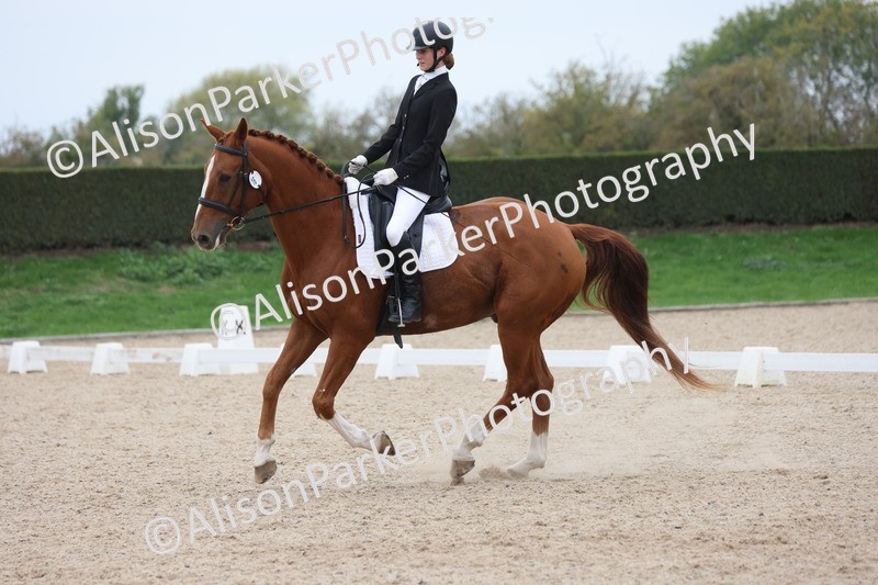 20251011-0581 - Class 7 - Elementary 2