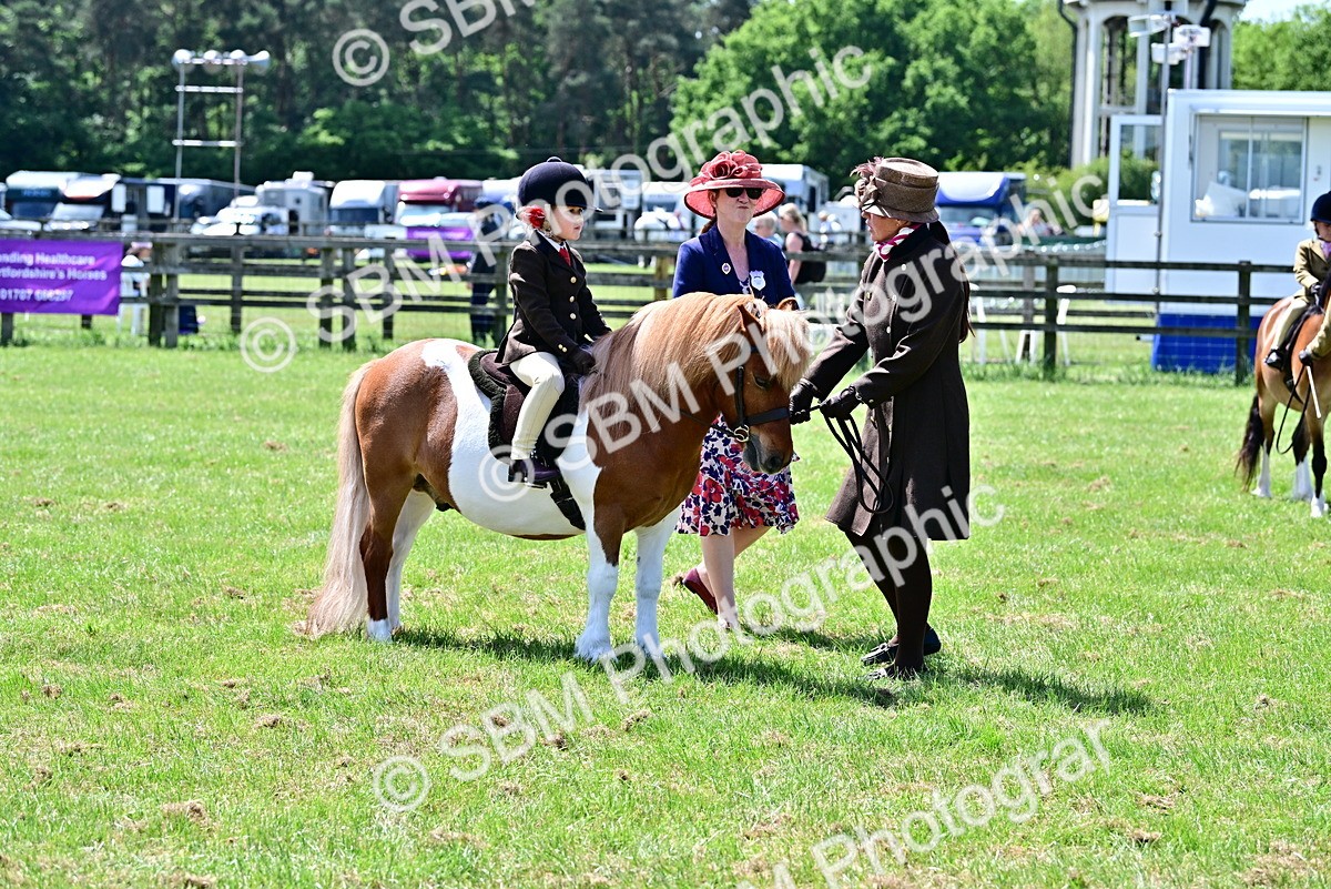 SBM_05797 - Class 59-60 - TSR M&M  Lear Rein and First Ridden Amateur of the year