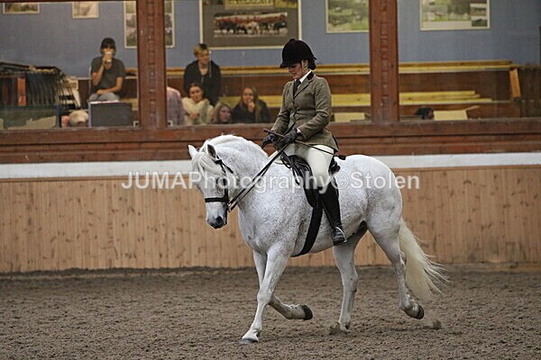 SIAL1099 - Large indoor school Saturday