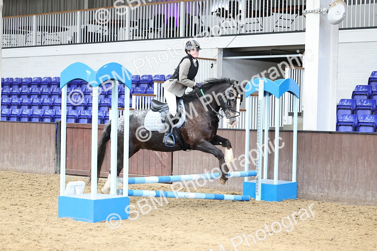 SBM_007374 - Class 2 - 50cm showjumping