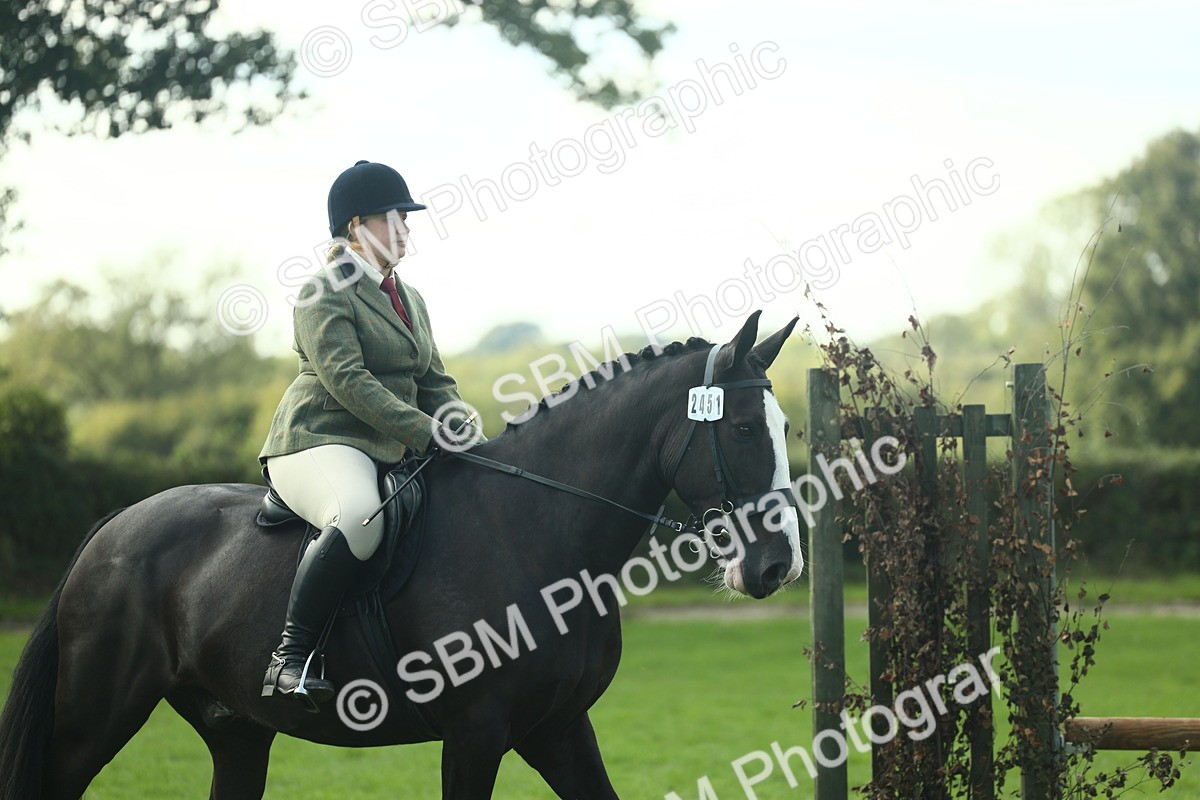 SBM_50611 - S33 - Working Hunter & Working Show Horse