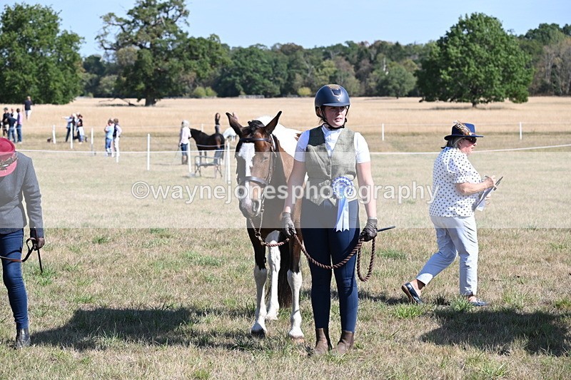 WJ6_4339 - Class 16 Condition & Turn Out