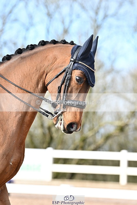 240218A-144223-08193 - 224-Georgia.Stokes-SOS.Johnny.Cash