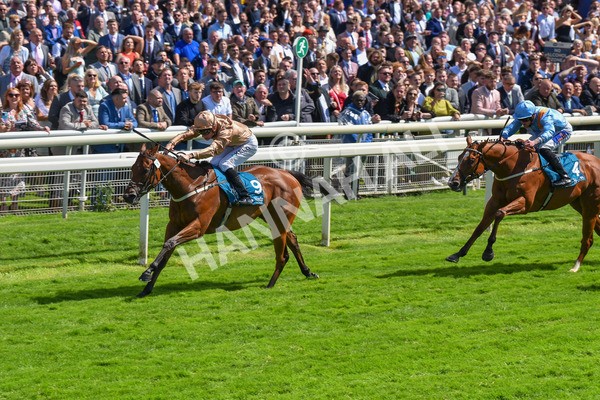 150723-Race 2-Nymphadora-8608 - Race 2 2.35pm John Smith's City Walls Stakes