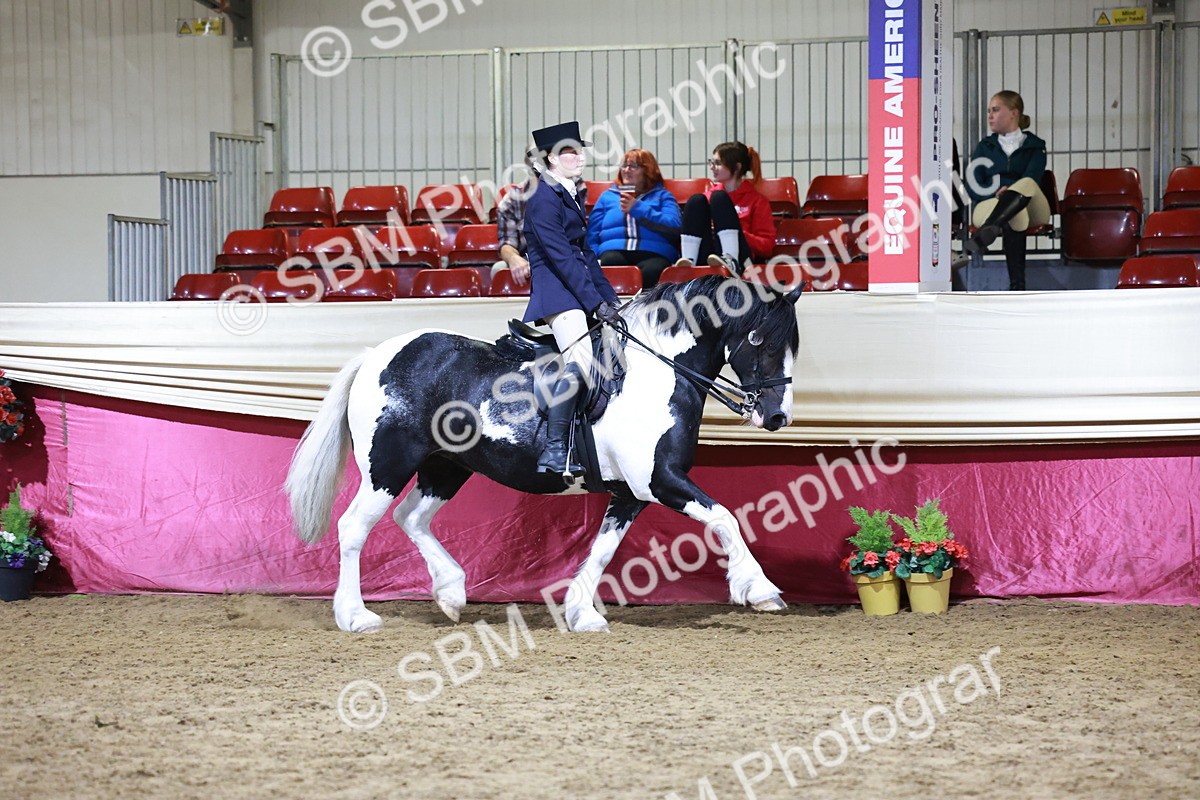 SBM_21129 - class Q - Ridden Horse Champ