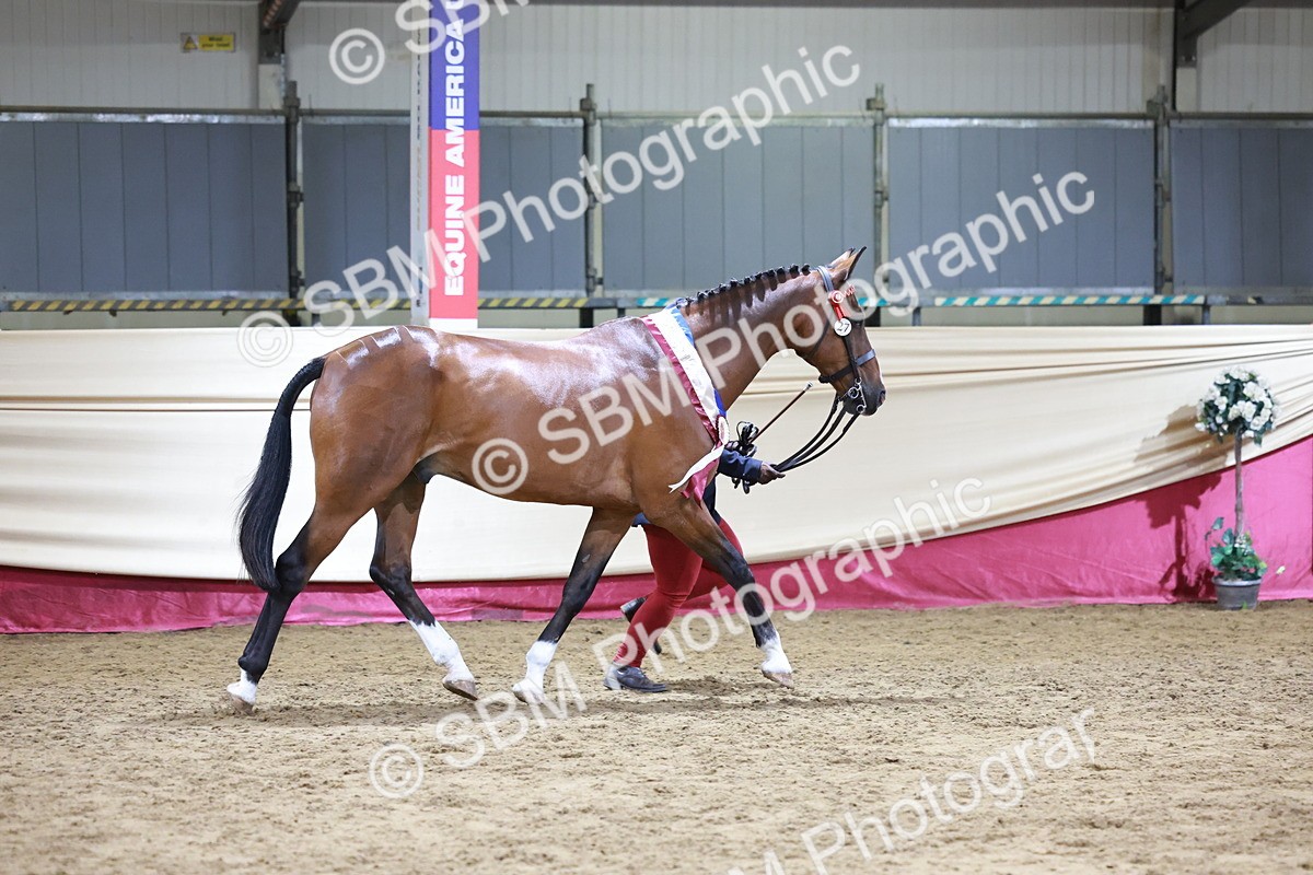 SBM_20156 - Class C - Novalty Champ