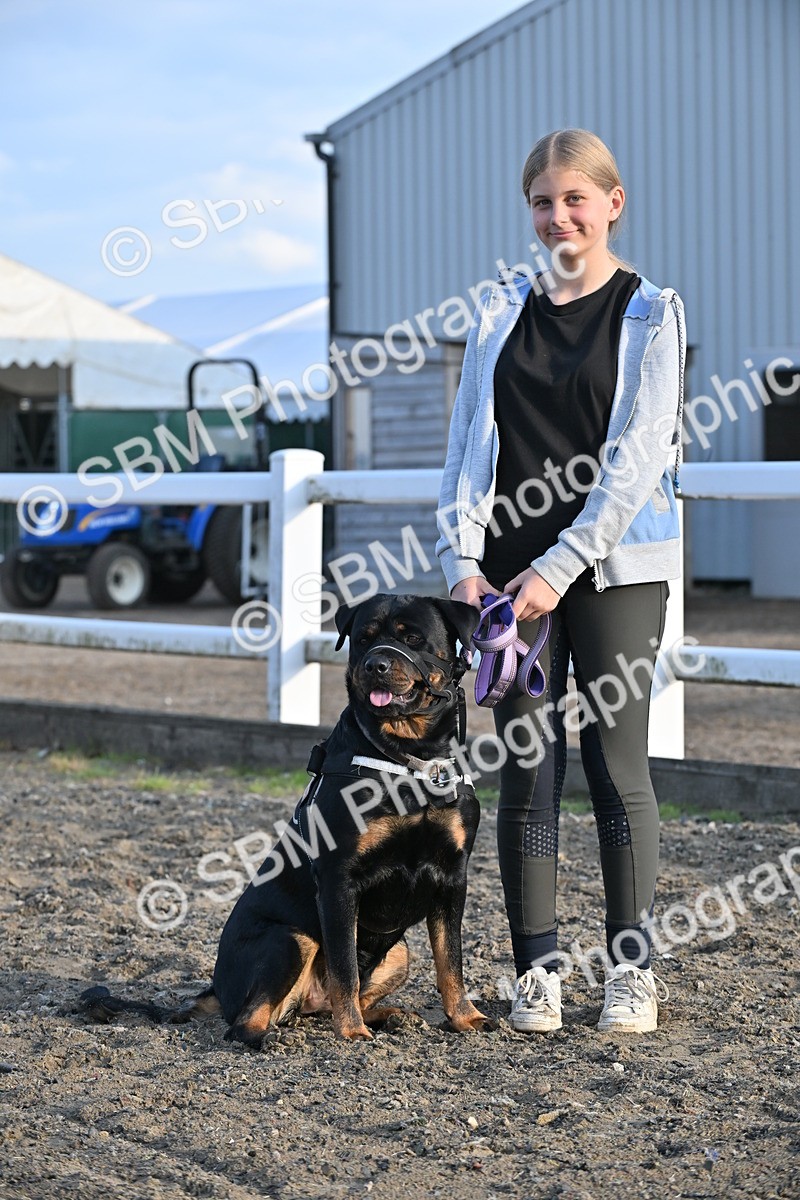 SBM_09434 - Lorry Dogs
