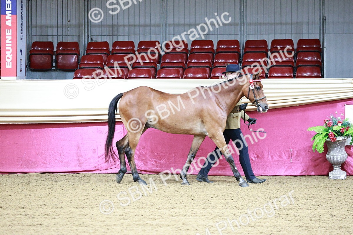SBM_00126 - Class 1A - Area IH Diamond