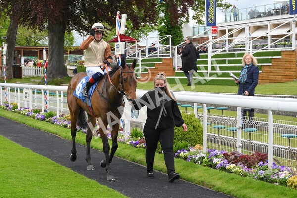 yr22052021r1-35 - Race 1 2.05pm William Hill Pick Your Places Stakes