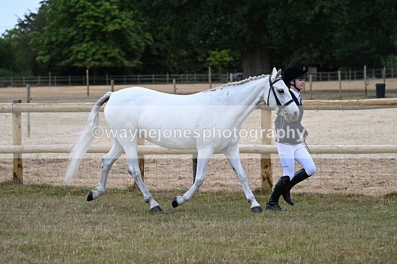 WJ7_8817 - Class 4a Prettiest Mare 14.2hh and over