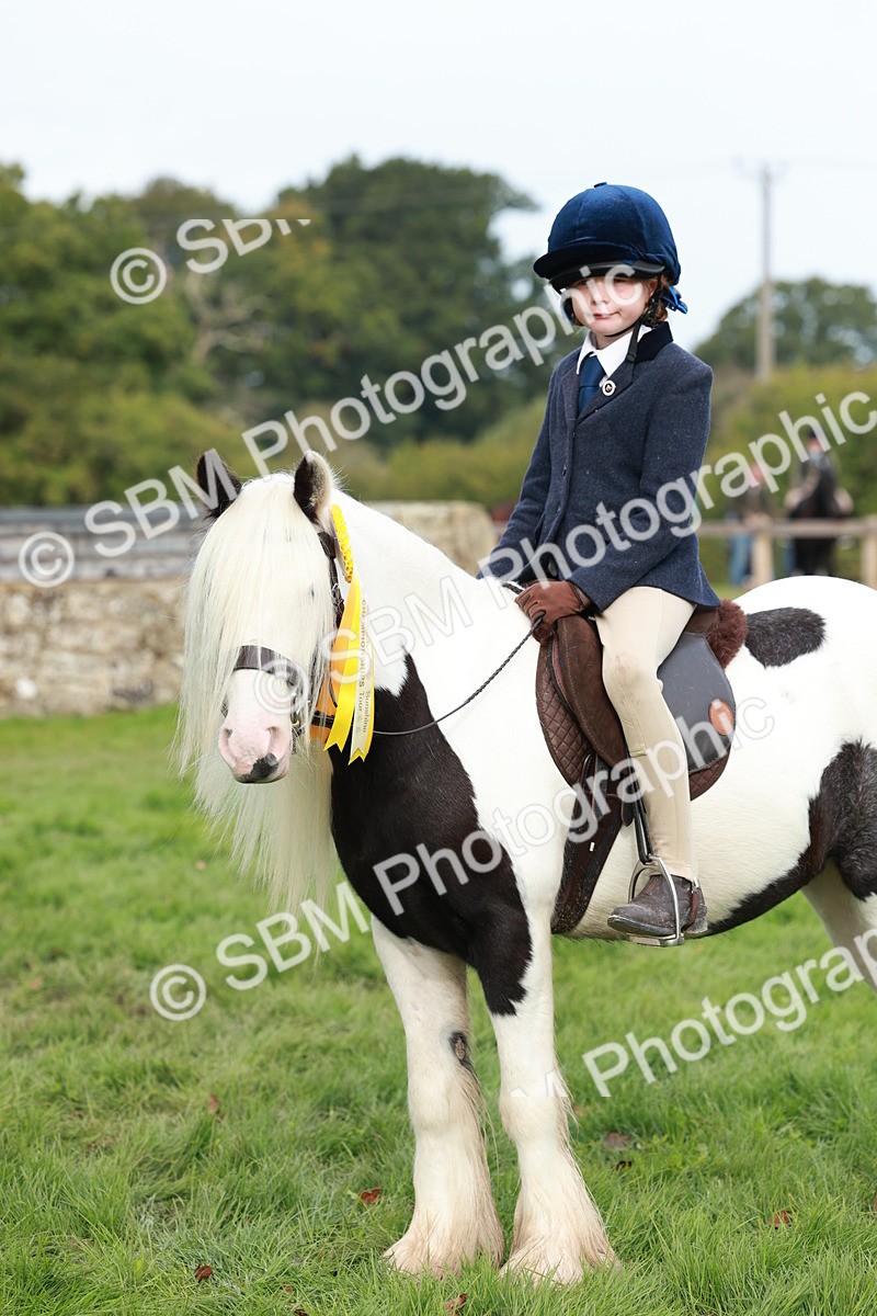 SBM_56507 - S39 - Starters In Hand Showing
