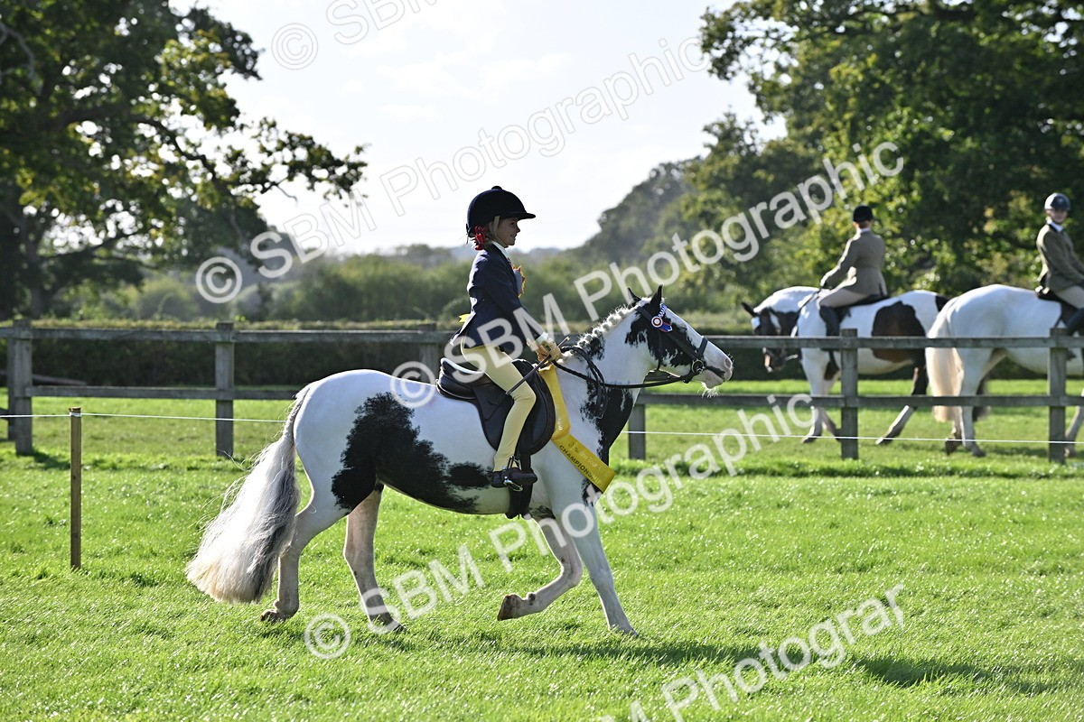 SBM_51296 - S22 - First Ridden Show & Show Hunter Pony