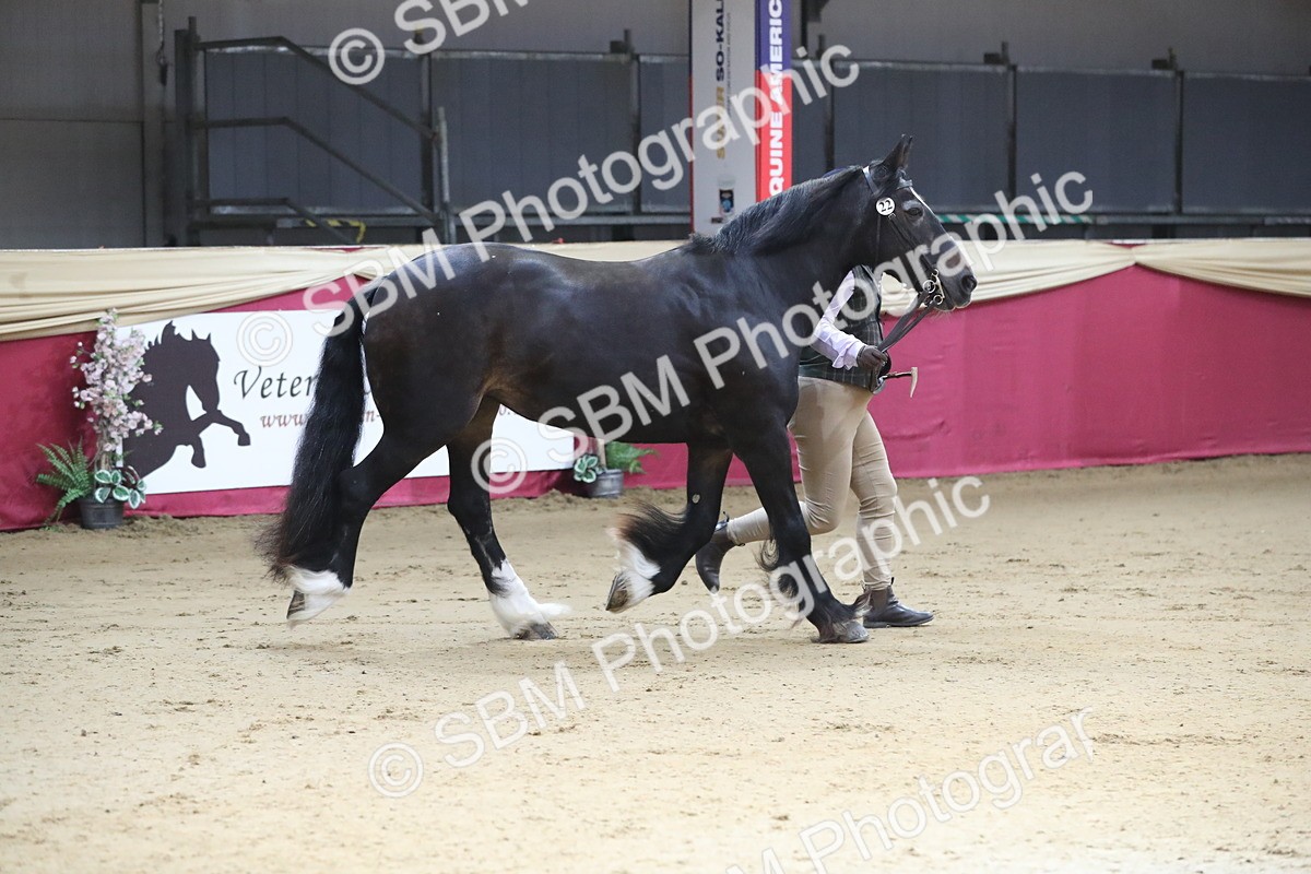 SBM_00539 - class 2a Area IH Veteran