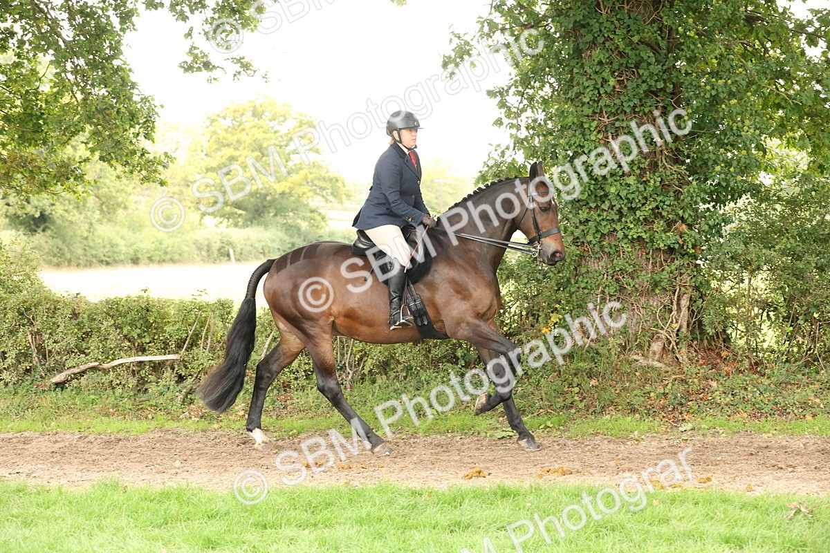 SBM_66316 - S66 - Hunter Ridden