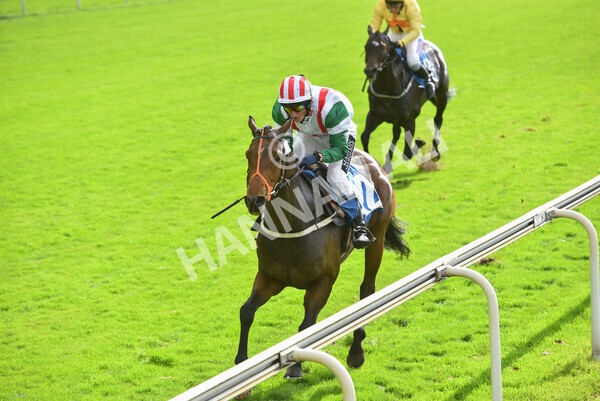 yr24092021r1-146 - Race 1 1.10pm Ernest Cooper Macmillan Ride of Their Lives