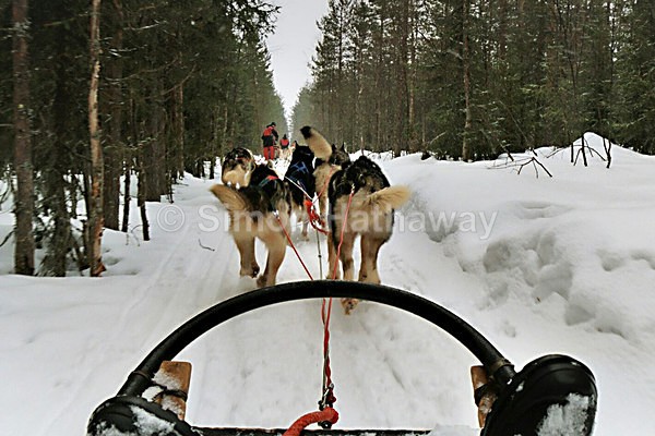  - Finland