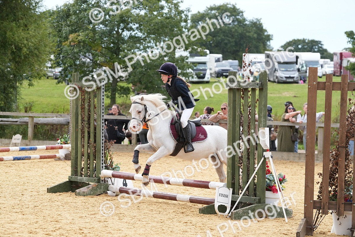 SBM_70607 - J3 - Mini Tour Junior Pony 40cm Championship