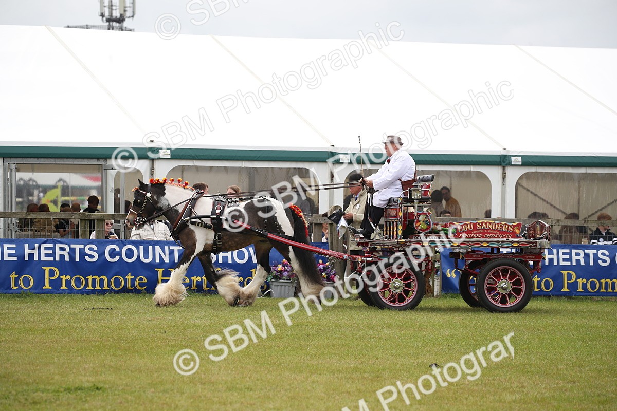 SBM_07042 - Class 16 - Light Trade