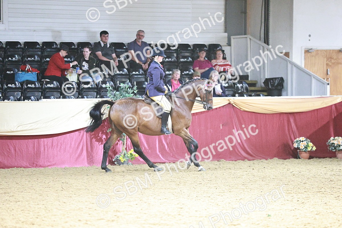 SBM_08270 - Class 11R - Regional Ridden Veteran