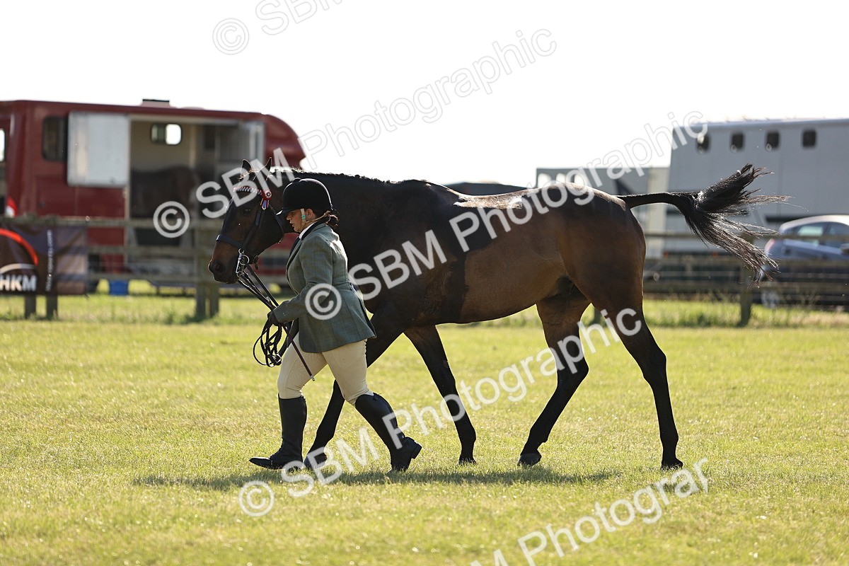 SBM_19759 - Class 87-88 - RIHS BSHA Riding Horses