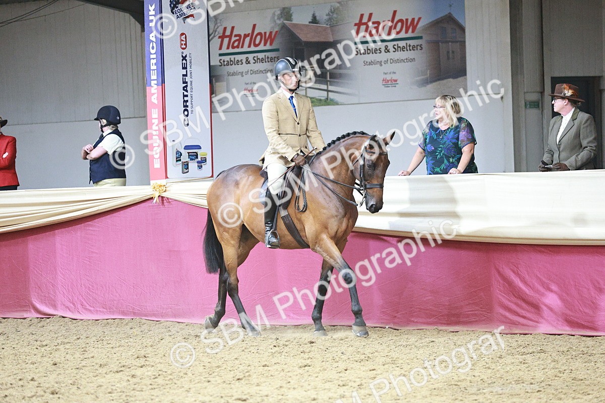 SBM_08742 - Class 12R - Regional Ridden Pre-Vet