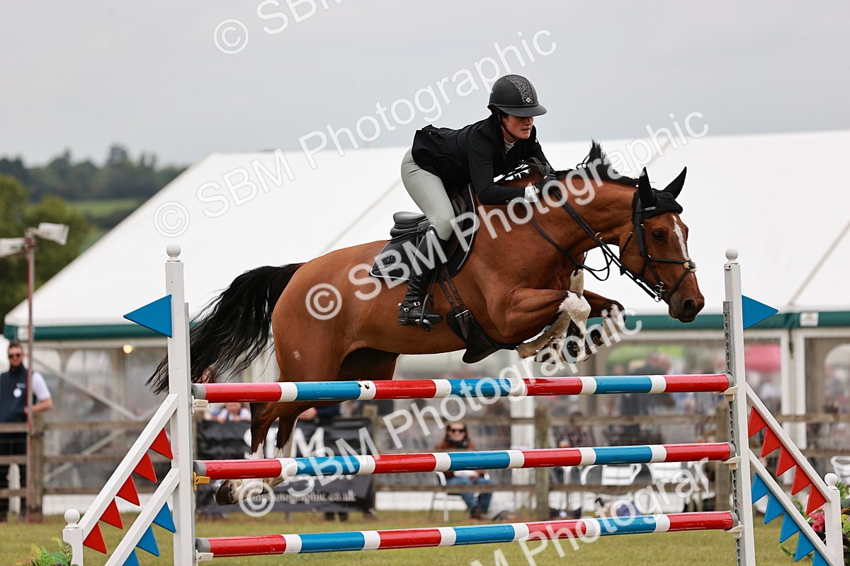 SBM_07690 - Class 203 - Martin Grant Homes Areal Trial