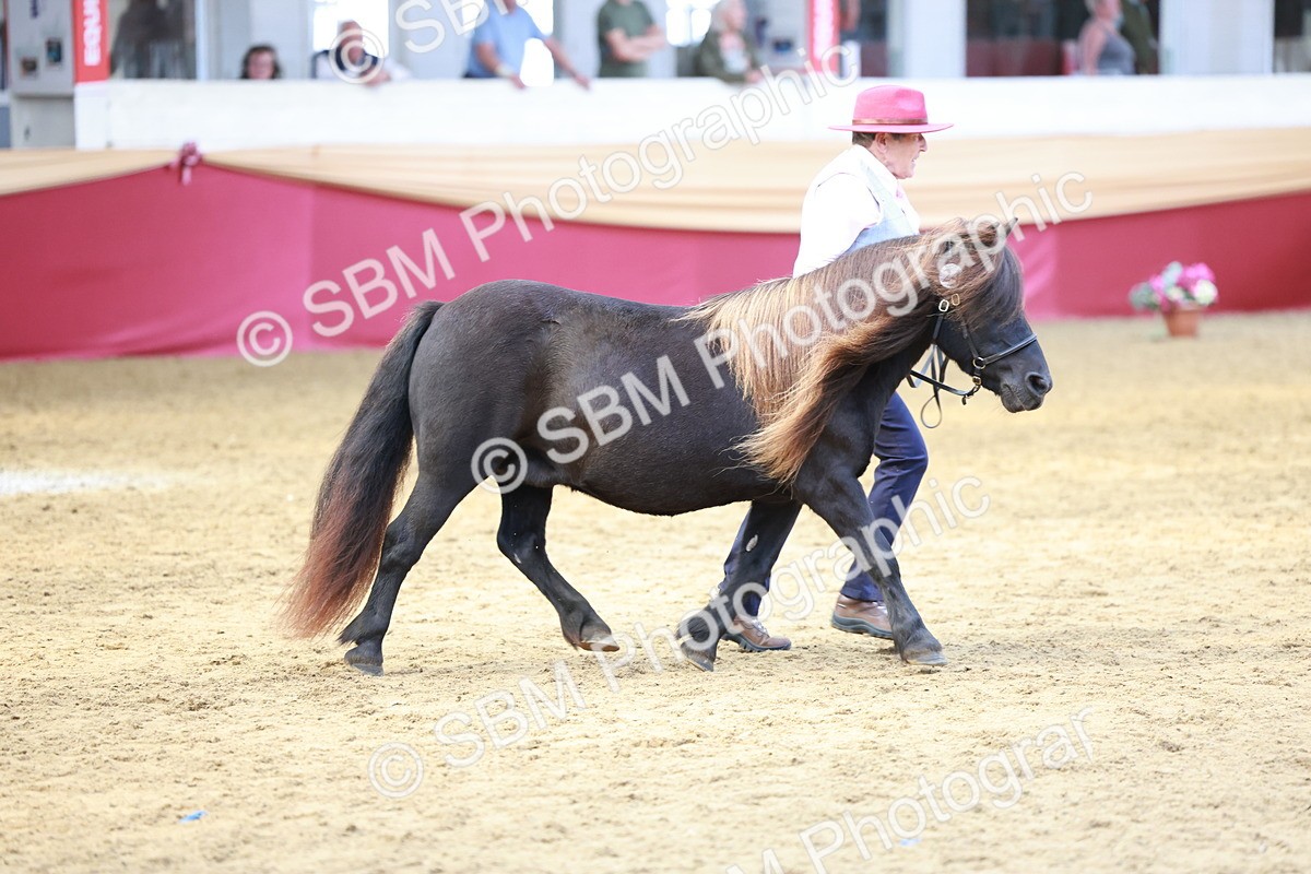 SBM_17501 - Class 951 - M&M IH Supreme Final