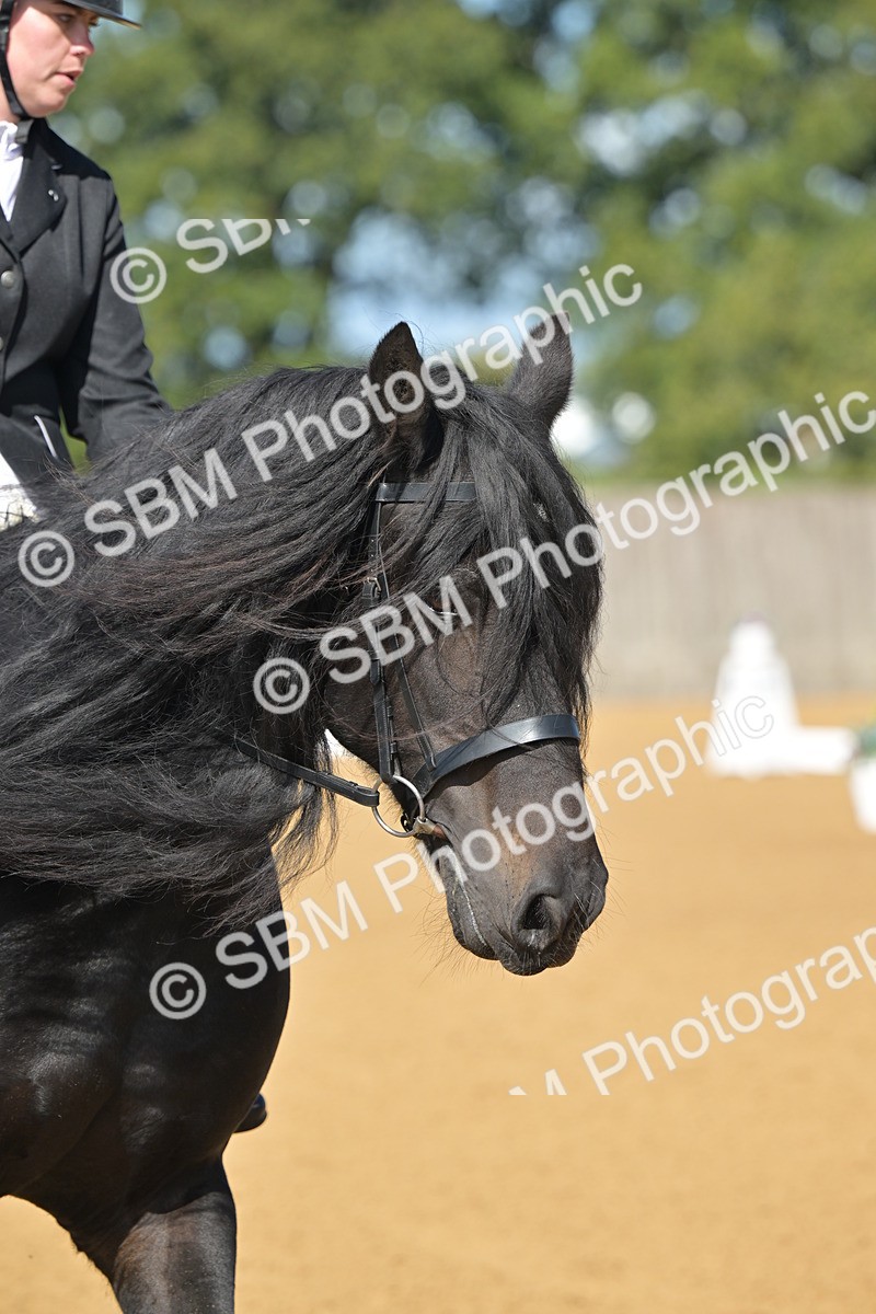 SBM_03978 - D2 - Small Tour Championship Intro 2